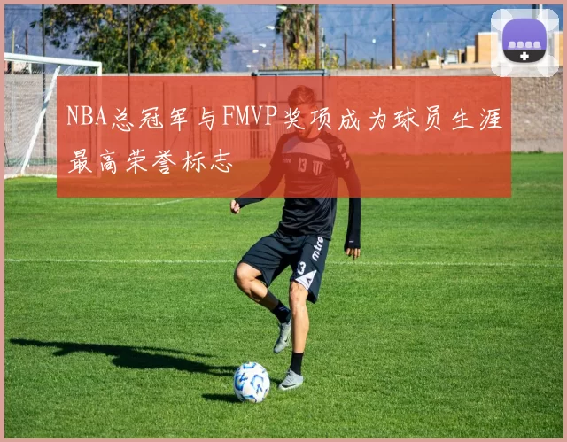NBA总冠军与FMVP奖项成为球员生涯最高荣誉标志