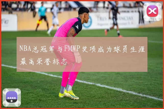 NBA总冠军与FMVP奖项成为球员生涯最高荣誉标志